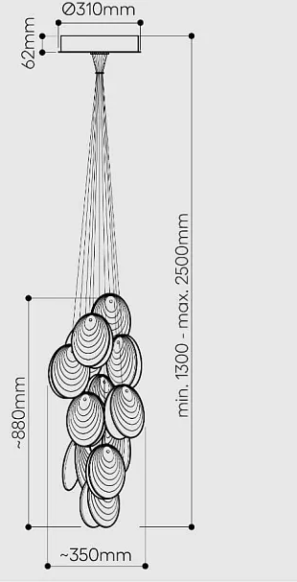Mussels Hanging Lamp Cluster 12