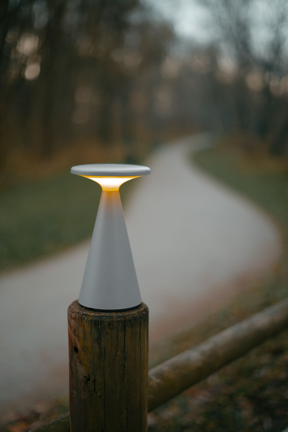 Allure Gold Pendant Lamp