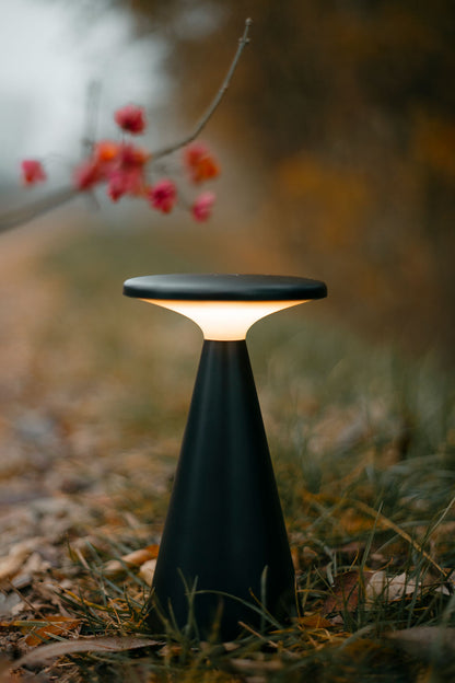 Allure Gold Pendant Lamp