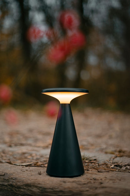 Allure Gold Pendant Lamp