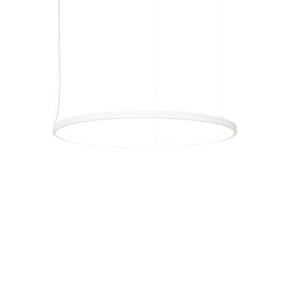 Spider Hanging Lamp Black